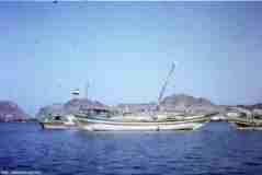 ���� ������ ��� ��� ����